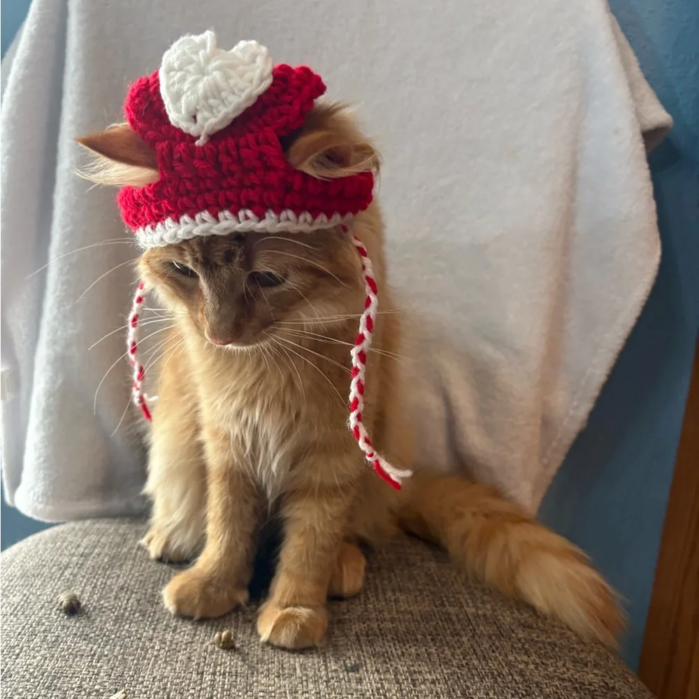 Handmade Red & White Crochet Cat Hat - Pet Costume Valentine’s heart
